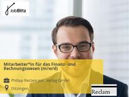 Mitarbeiter*in für das Finanz- und Rechnungswesen (m/w/d) - Ditzingen