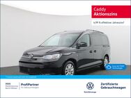 VW Caddy, Maxi Life TDI, Jahr 2024 - Wildau