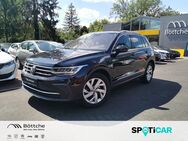 VW Tiguan, 1.5 Move Allwetter, Jahr 2023 - Bad Belzig