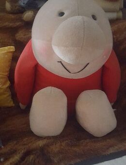 Big Ziggy sucht neues Zuhause - Sarstedt