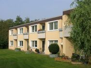 modernisierte 2-Zimmer-Wohnung in Hemmingen OT Arnum - für Senioren ab 60 Jahre WBS ist erforderlich - Hemmingen (Niedersachsen)