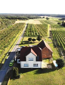 Saniertes EFH mit viel Nebengelass direkt am Weinberg - Jessen (Elster)