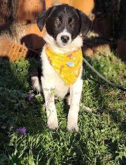 MiA ❤️ die kleine Erwünschte 😍 - Mylau