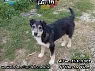 LOTTA - und ihre Schwester Lilo - Waakirchen