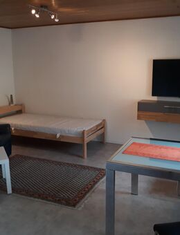 1 Zimmer - Appartement für Berufspendler/Wochenendheimfahrer , Zeitwohnung. - Lampertheim Zentrum
