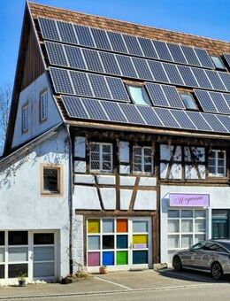 *Attraktives Mehrfamilienhaus mit riesigem Grundstück in Top-Lage* - Horb (Neckar)