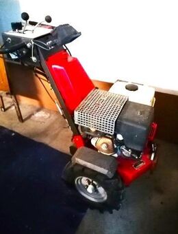 Kehrmaschine (Motor) gebraucht - Elmstein