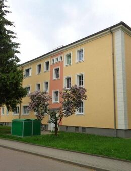 Moderne 5-Raumwohnung im Geiseltal - Braunsbedra