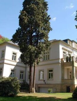 *Komplett möblierte, sonnige und gemütliche Dachgeschoss-Wohnung- ID 6296* - Dresden