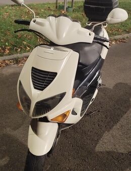 Peugeot Speedfight 1 LC 1997 Roller Mofa Motorroller 50ccm - Neunkirchen (Saarland)
