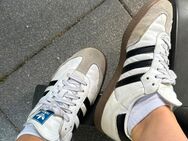 Schuhe lecken / Füße riechen / sneaker Socken fuß - Bielefeld