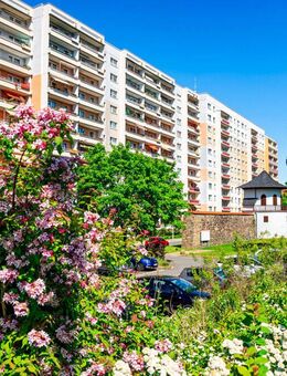 1-Raum-Wohnung zum Wohlfühlen - Zwickau