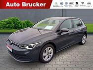 VW Golf VIII Life 2.0 TDI+Alufelgen+Navi+elektr.Sitze+LED - Marktredwitz