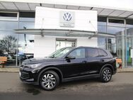 VW Tiguan, 1.5 Life eTSI, Jahr 2024 - Mücke