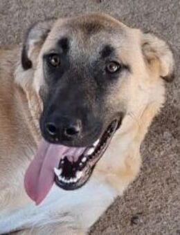 Polina - lieb, unerschrocken, lebensfroh - Mettmann