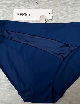 Slip/Panty von Esprit Gr. 38 royalblau - Vechta
