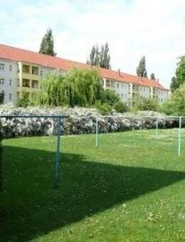 kleine 3-Raum-Wohnung mit Balkon in ruhiger und grüner Lage in Dresden-Striesen - Dresden