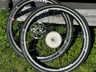 Unaas TS-29 carbon disc brake wheelset - Wölfersheim