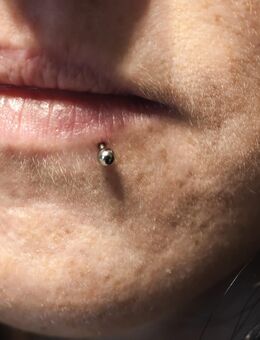 Mobiler Piercing Service jedes Piercing 45€ - Hilter (Teutoburger Wald)