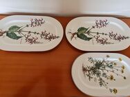 Villeroy & Boch, Serie Botanica, Platten, Schüssel, Auflaufform - Essen