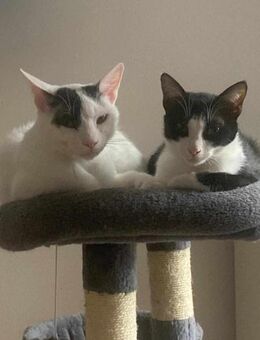 Penny und Pepe - Margetshöchheim