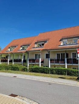 1-Raum-Wohnung mit Terrasse - Neustadt (Sachsen)
