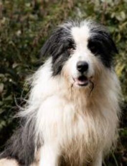 Paul sucht seine Menschen - München