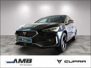 CUPRA Leon, 1.5 eTSI XL Dynamic, Jahr 2023 - Borna