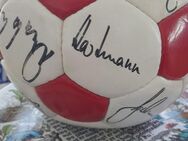 Fussball mit Original Unterschriften 1972 vfb - Sachsenheim Zentrum