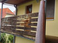 W1619 - Single-Wohnung im Riesaer Stadtzentrum - Riesa