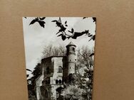 Postkarte C-324-Mettlach-Alter Turm-Grabkirche. - Nörvenich
