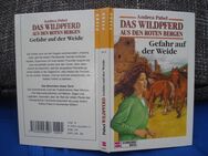 Das Wildpferd aus den roten Bergen Gefahr auf der Weide A.Pabel - Friedrichsdorf