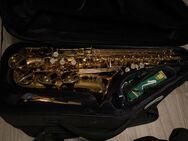 Selmer Supreme Altsaxophon - Borken (Hessen)