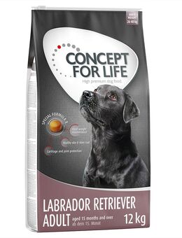 Sparpaket Concept for Life 2 x Großgebinde - Labrador Retriever Adult (2 x 12 kg)