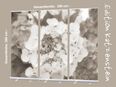 Bestatterbedarf: Roll-Up Display "Hortensienblüten" - als 3er-Set zur Dekoration von Trauerhallen in 26382