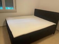 Boxspringbett 180x200cm - Bad Wimpfen