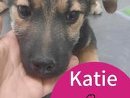 Katie 4 mon. 30-35 cm - Finning