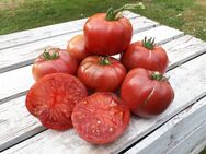 Adelaide Festival, Tomate aus Australien, Tomatensamen - Oldenburg