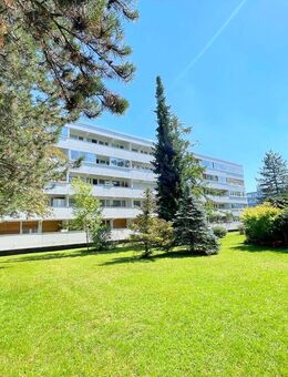 Neu renovierte 2 Zi.-Whg. mit West-Balkon direkt am Weißenseepark und U-Bahn mitten in Obergiesing - München
