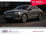 Audi Q8, Sportback advanced 55 quattro, Jahr 2022 - Potsdam