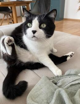 Notfall Coole Socke Thomas (ALO) - Geisenheim