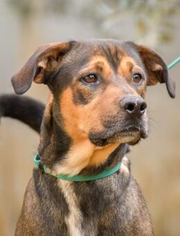 Jerome sucht seine Menschen - Weilheim (Oberbayern)