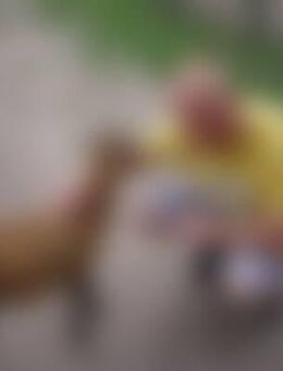 sve*** - Frankfurt (Oder)