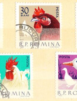 Rumänische Briefmarken Haustiere (435) - Hamburg