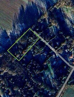 Ein Haus im "Wunderwald" nahe Eurostrand - Fintel