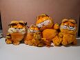 GARFIELD Sammlung in 60486