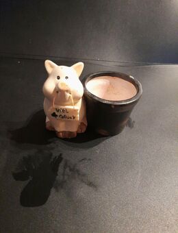Glücksschwein Glücksbringer aus Keramik Geschenk Deko Glückwunsch mit Blumentopf - Essen