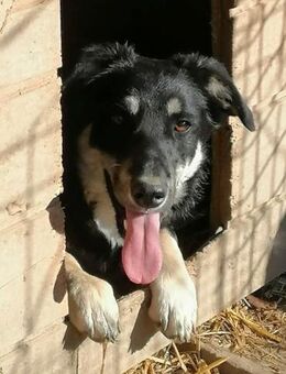 Daiana - Rotenburg (Fulda)