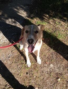 BASTOS ❤ eilig - Langenhagen