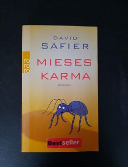 Mieses Karma von David Safier (2008, Taschenbuch) - Essen